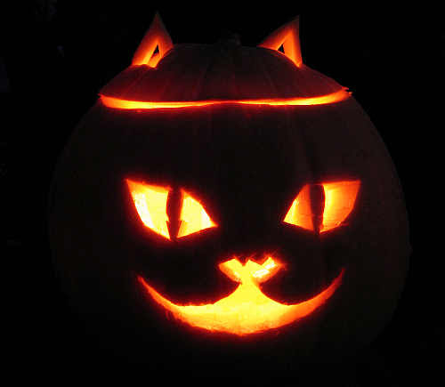 Kissankasvot kurpitsalyhty