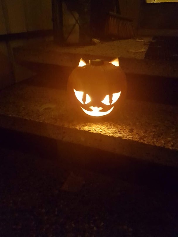 Kissa kurpitsalyhty loistaa