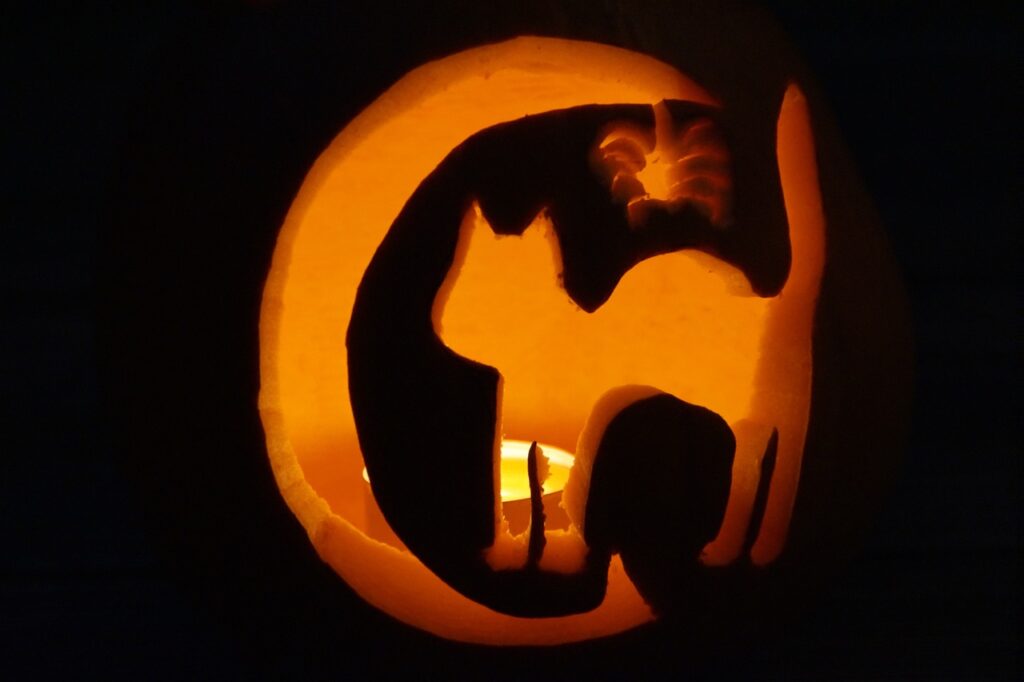 kissakurpitsalyhty kuu loistaa